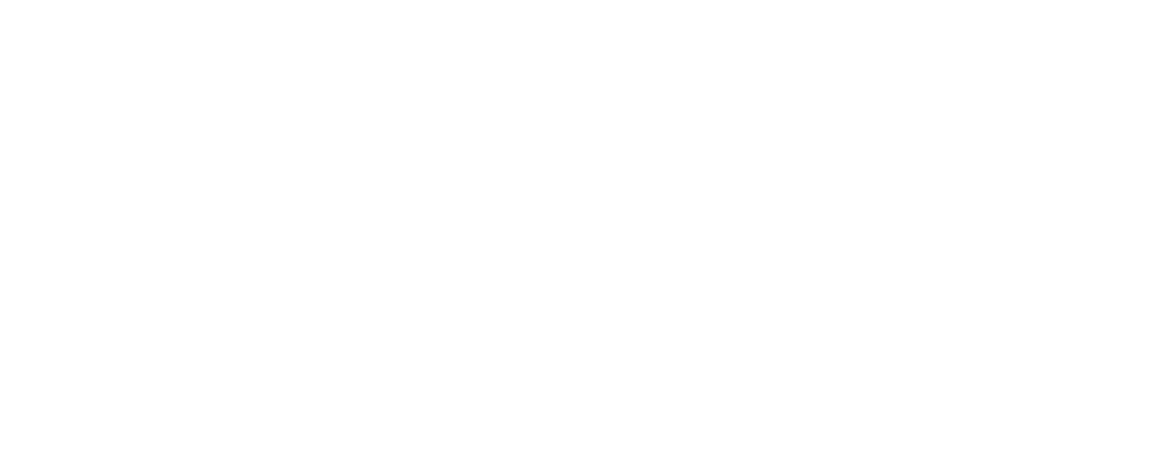 City of Miami Logo